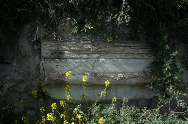 크레타의 석회석. 사진 제공: 앤드루 제퍼드