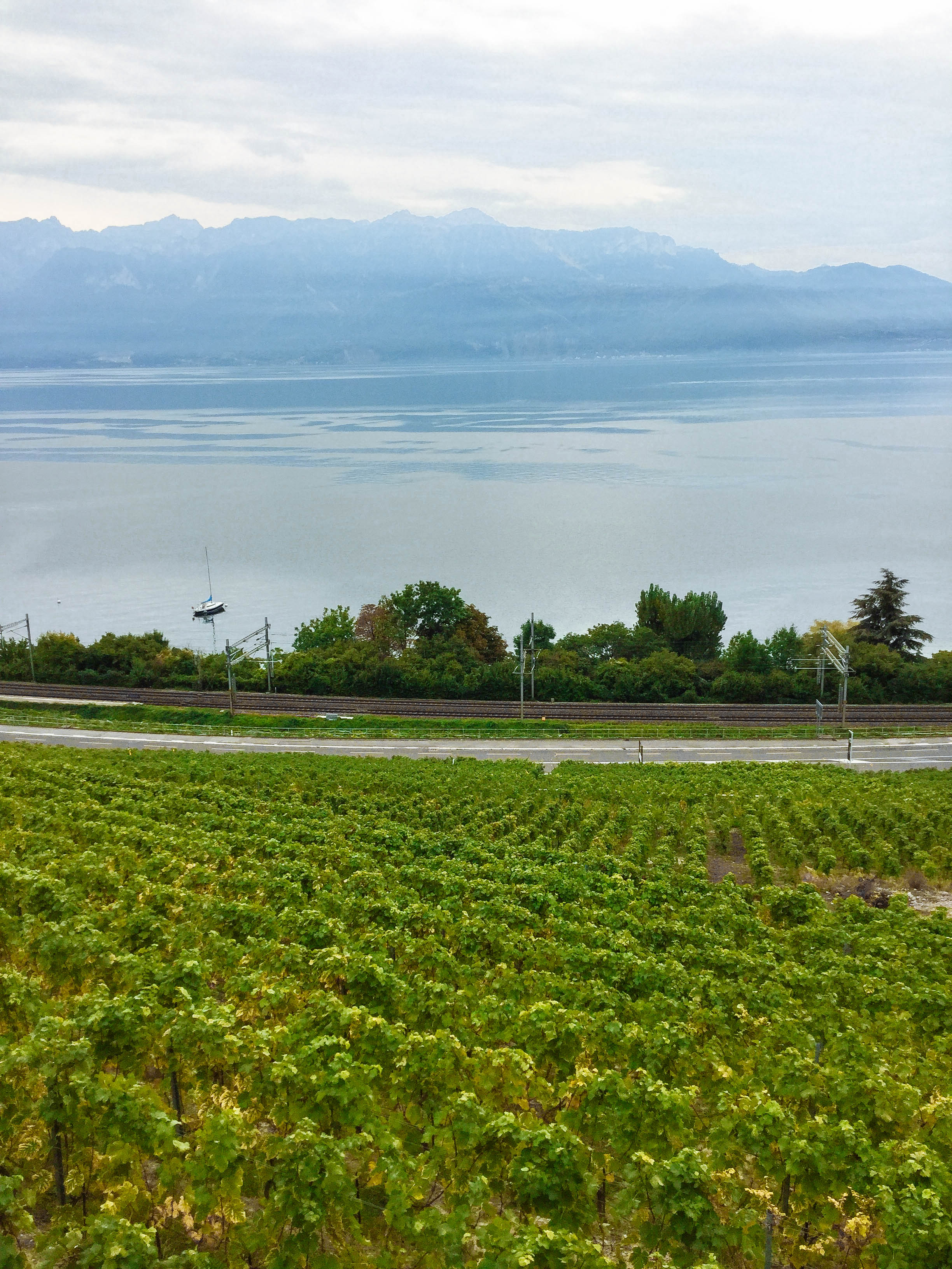 사진1) 스위스 와인 산지 전경